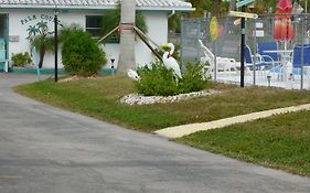 Palm Court Motel